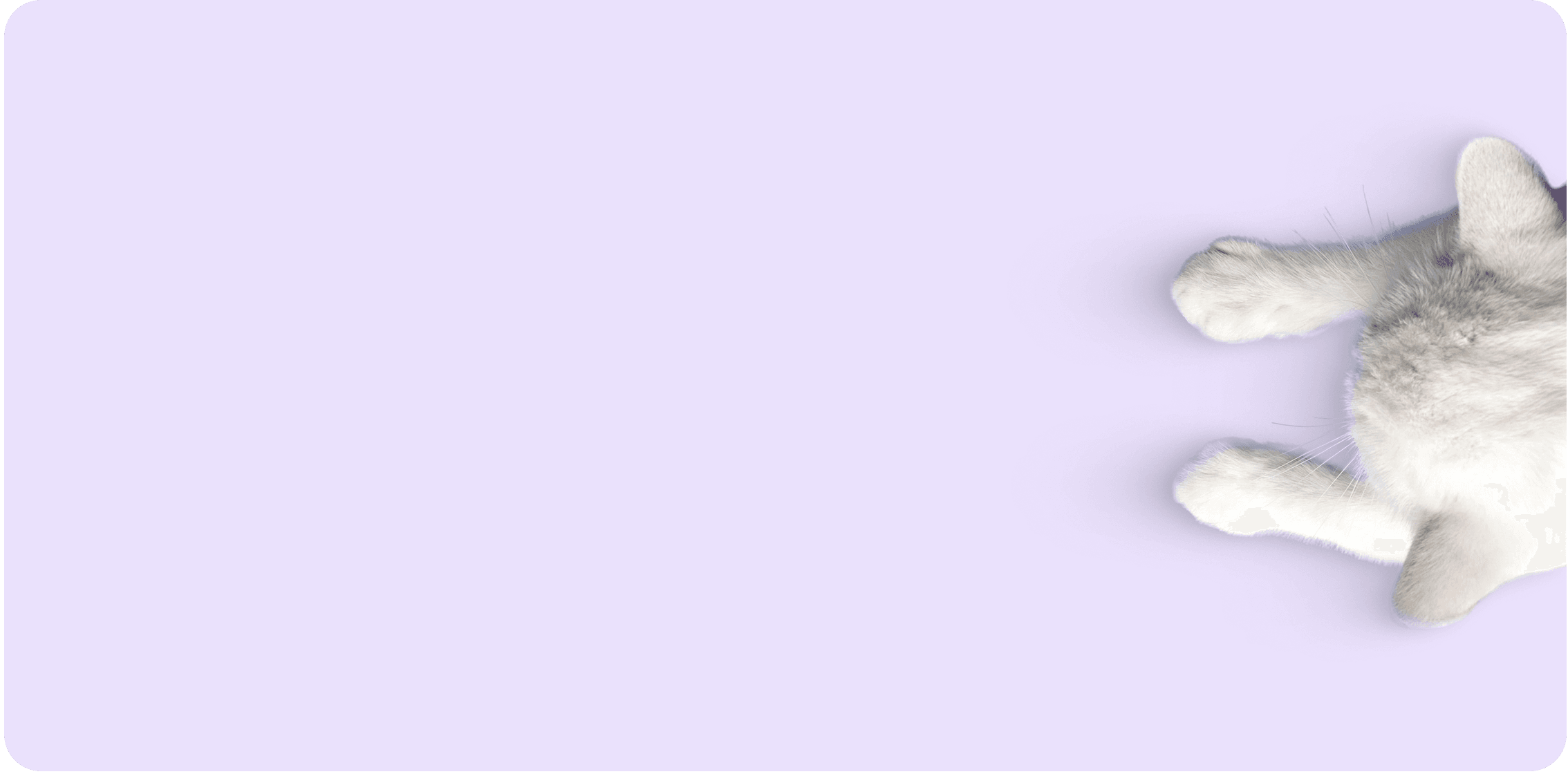 left card background